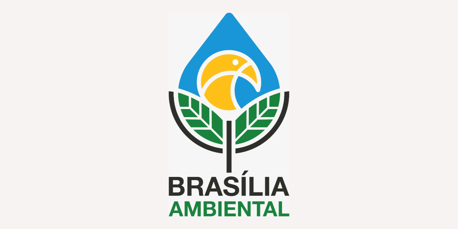 Licenciamento do BRT será discutido em evento on-line