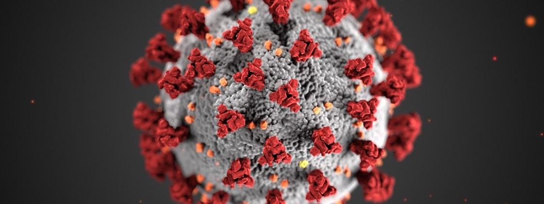 Variante Delta: perguntas importantes sobre a variante e suas respostas