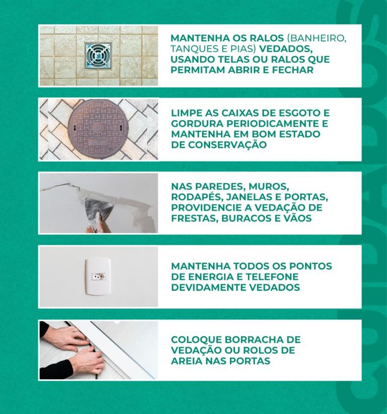 Saiba como evitar acidentes com escorpiões e onde buscar ajuda